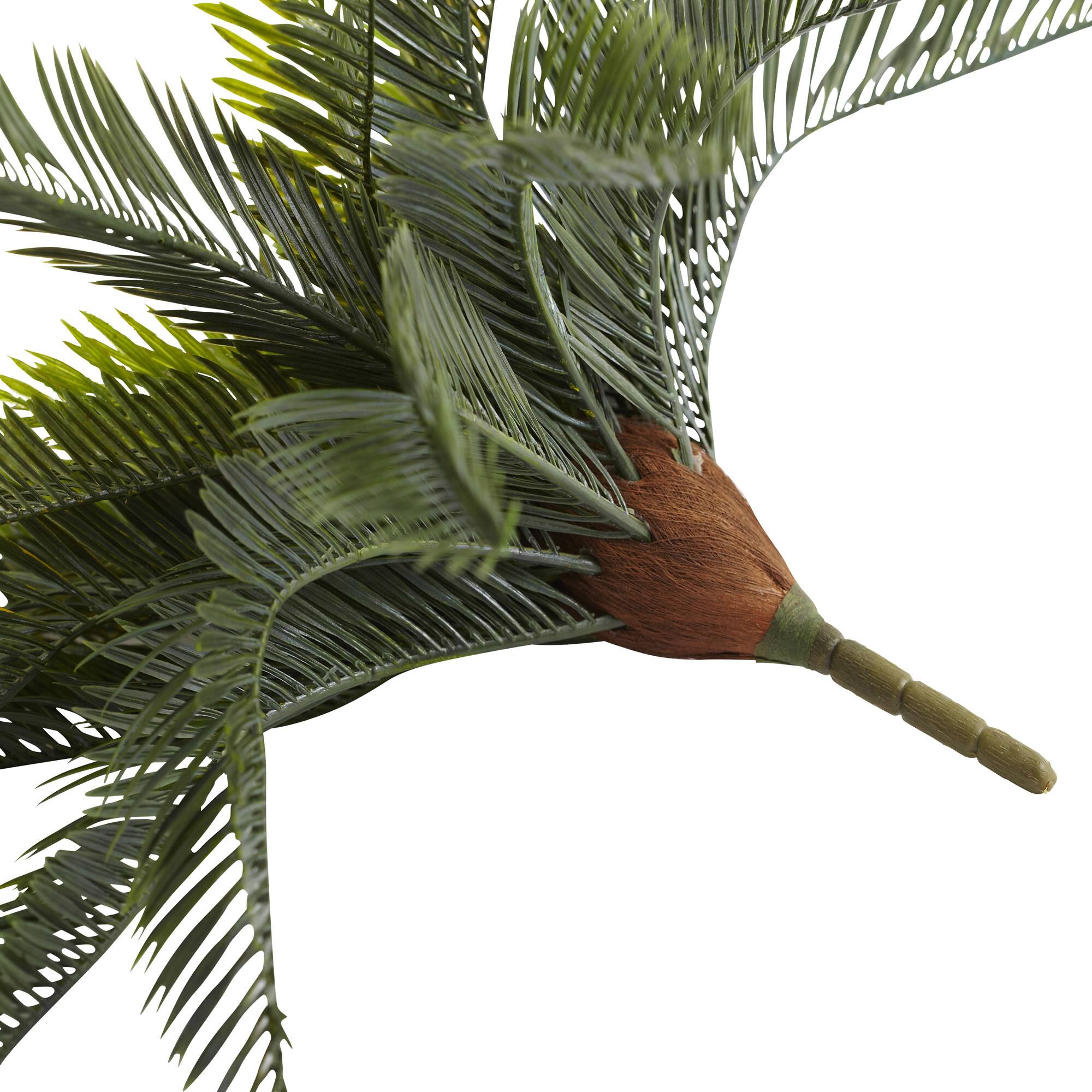 Green Cycas Pick, 2ct.